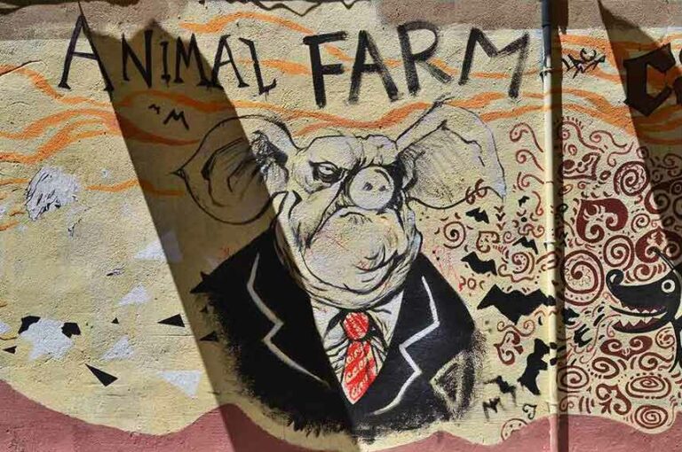 Animal Farm by George Orwell: The best “First” book.